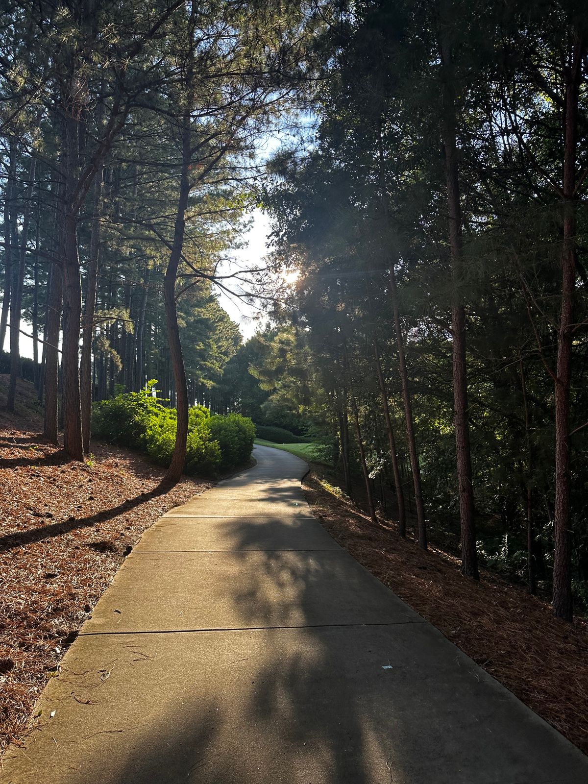 Ballantyne Bowl (replaced)