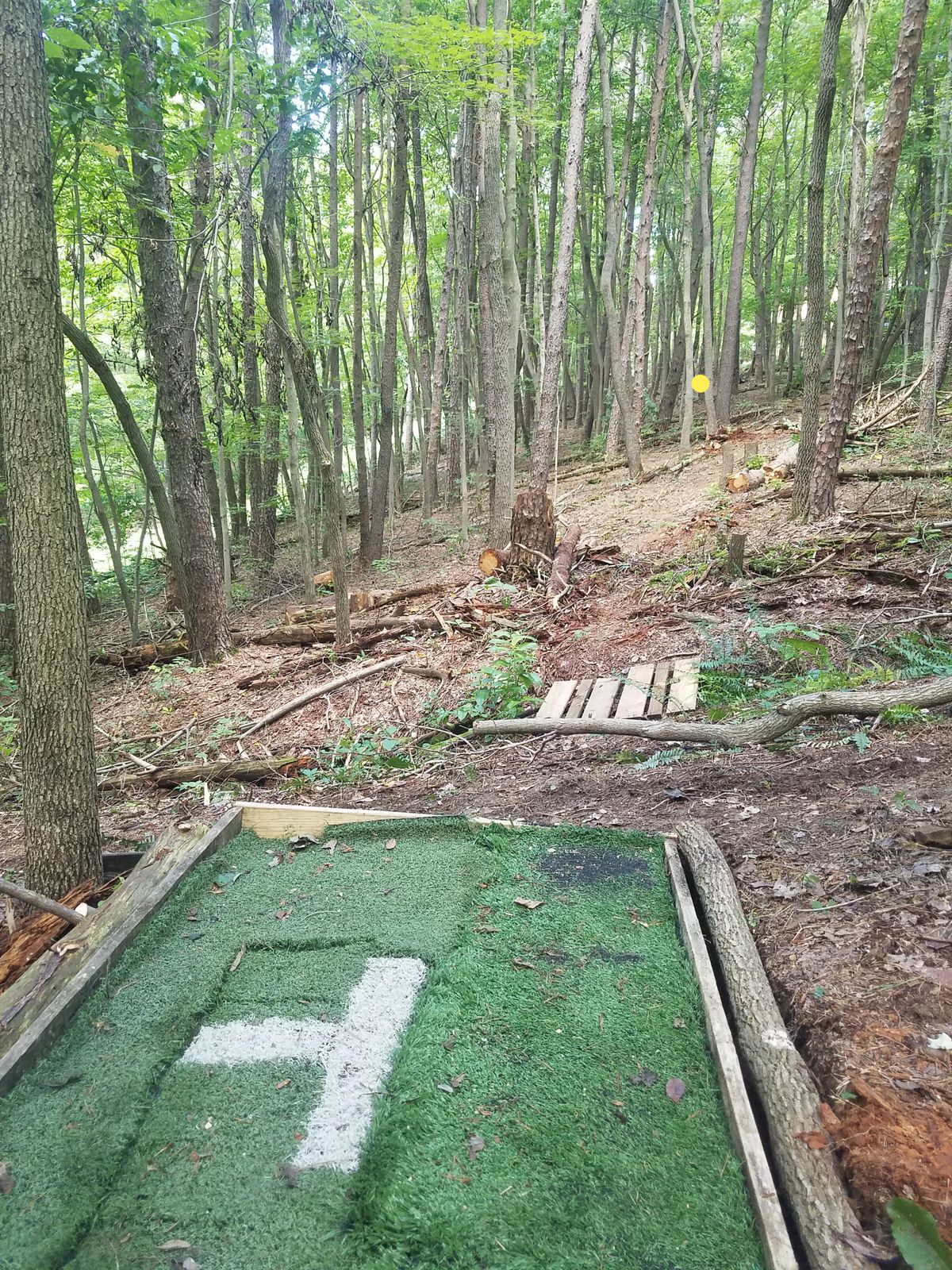 Hole #2. Yellow dot marks the basket.
