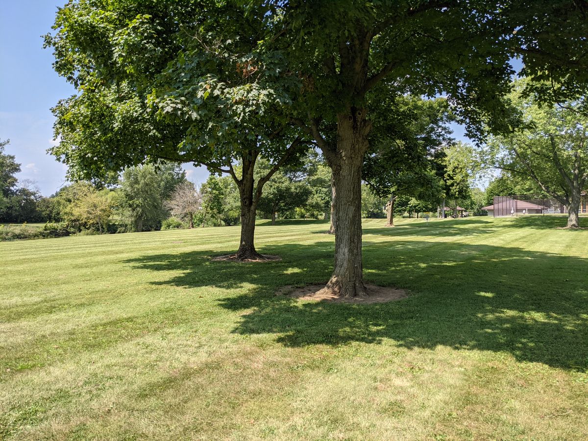 Hole 4