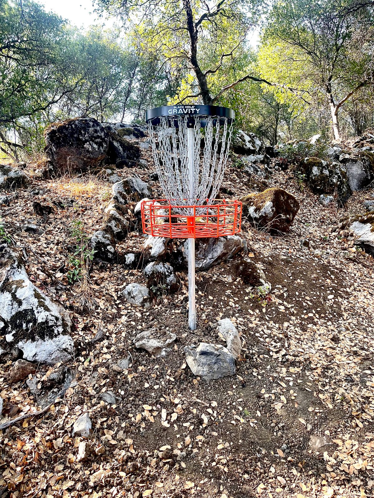Hole 1 Basket