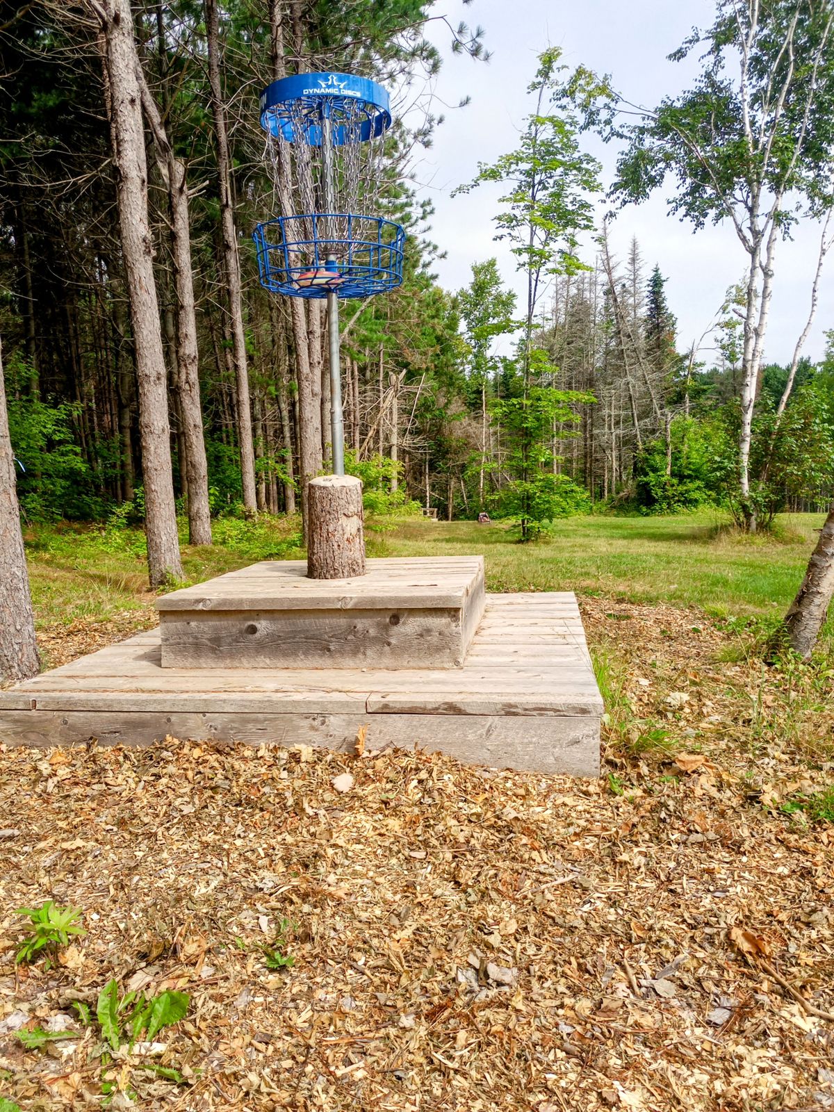 Hole 10