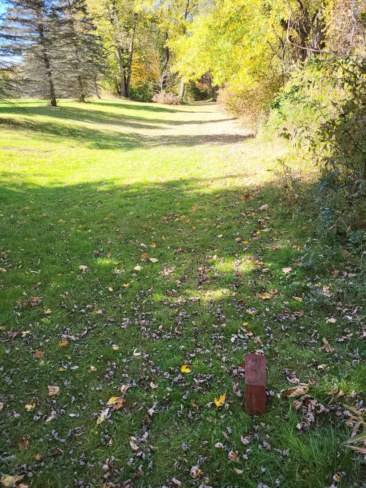 Hole 3 tee