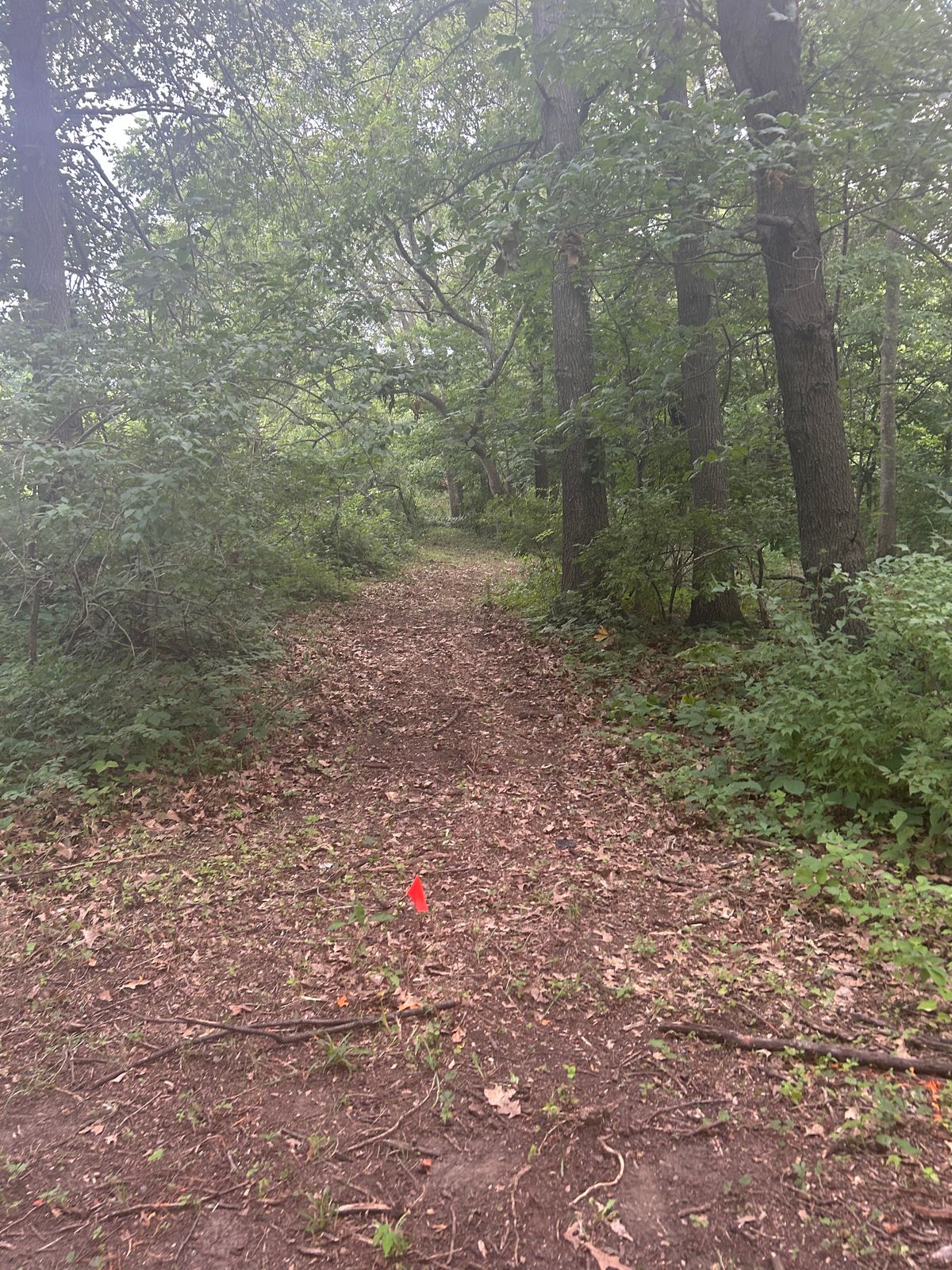 Hole 5 option right