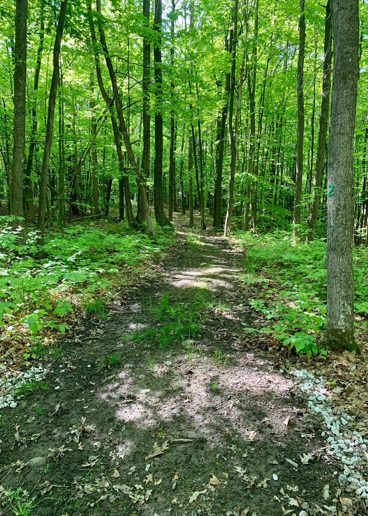 Hole 2