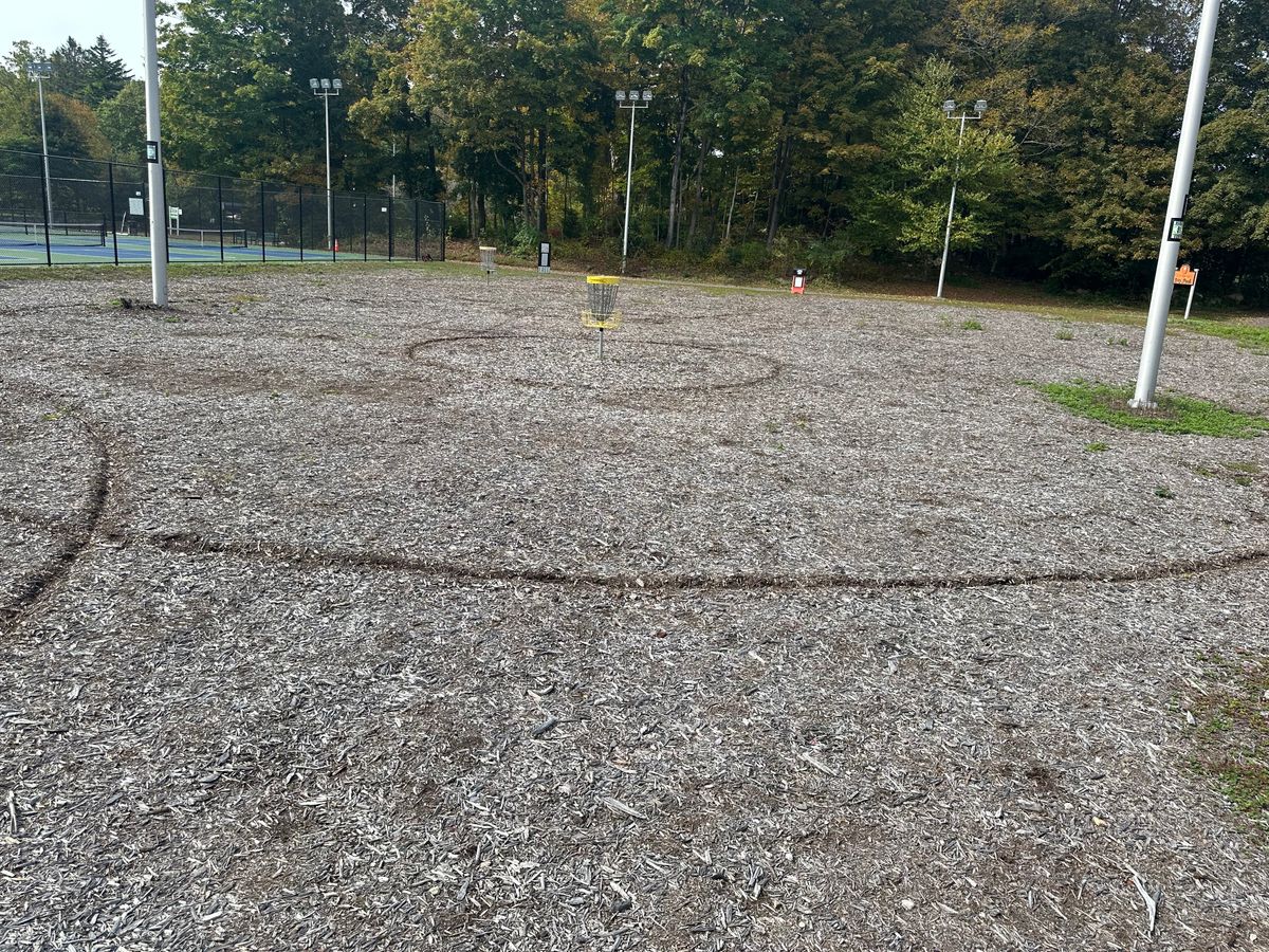 Circles drawn around the hole 2/6 basket