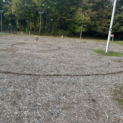 Circles drawn around the hole 2/6 basket