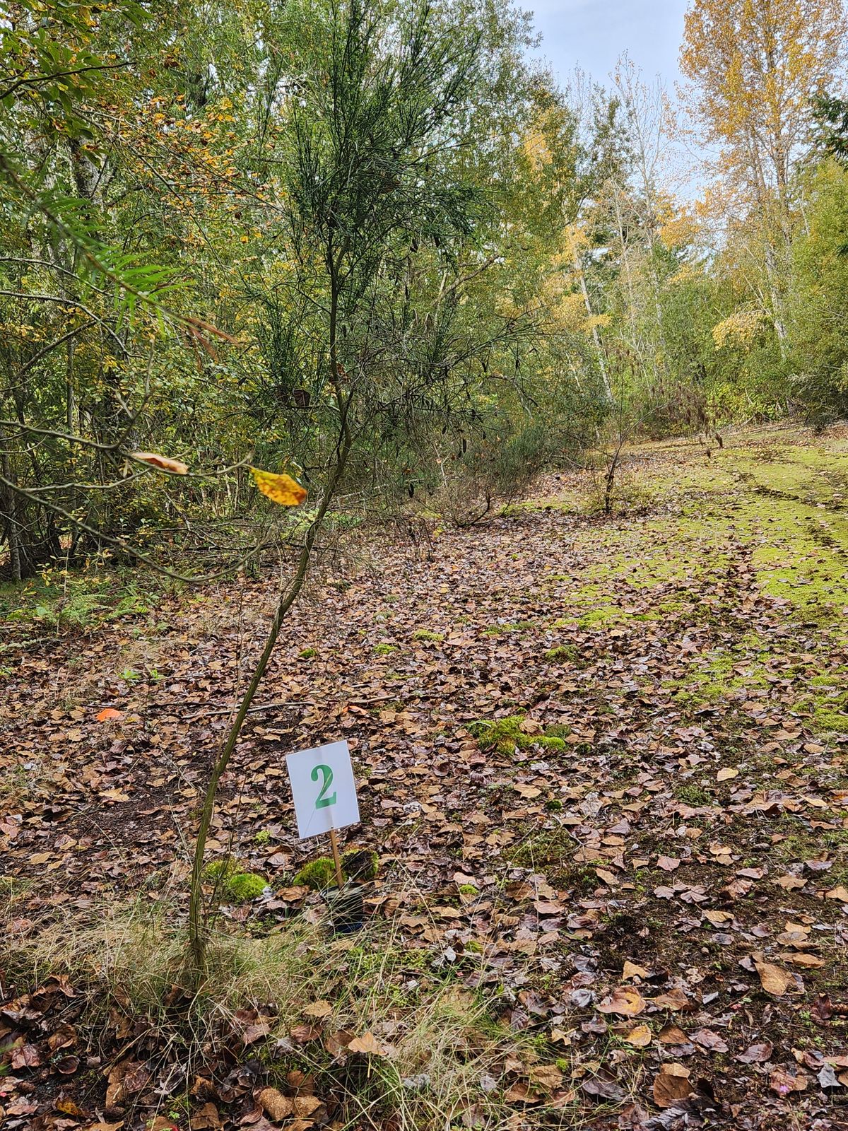 Hole 2