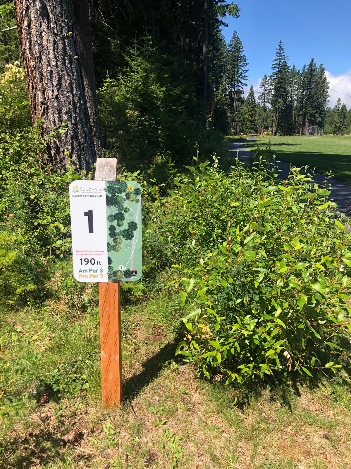 Hole 1 tee