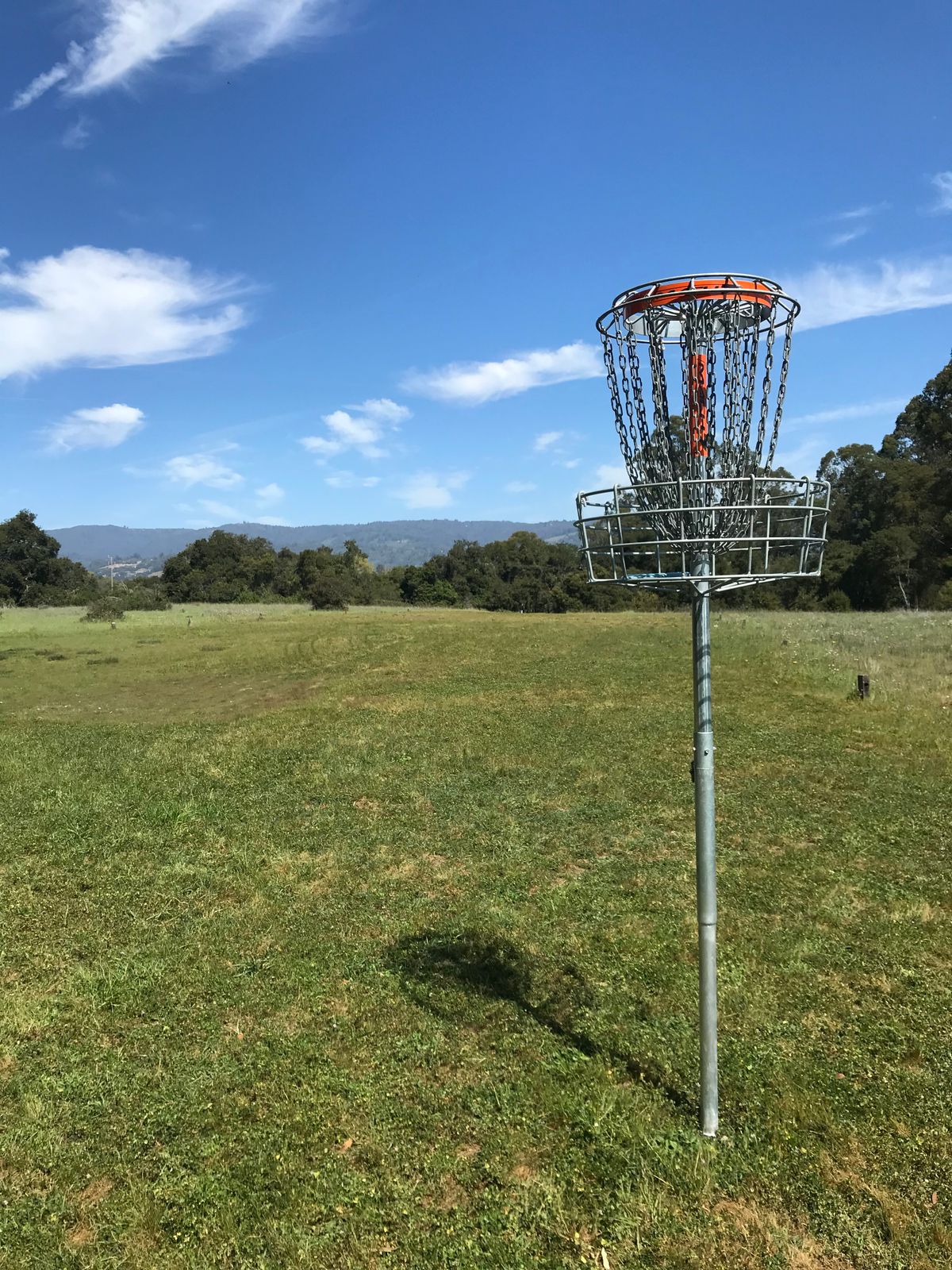 Elevated basket