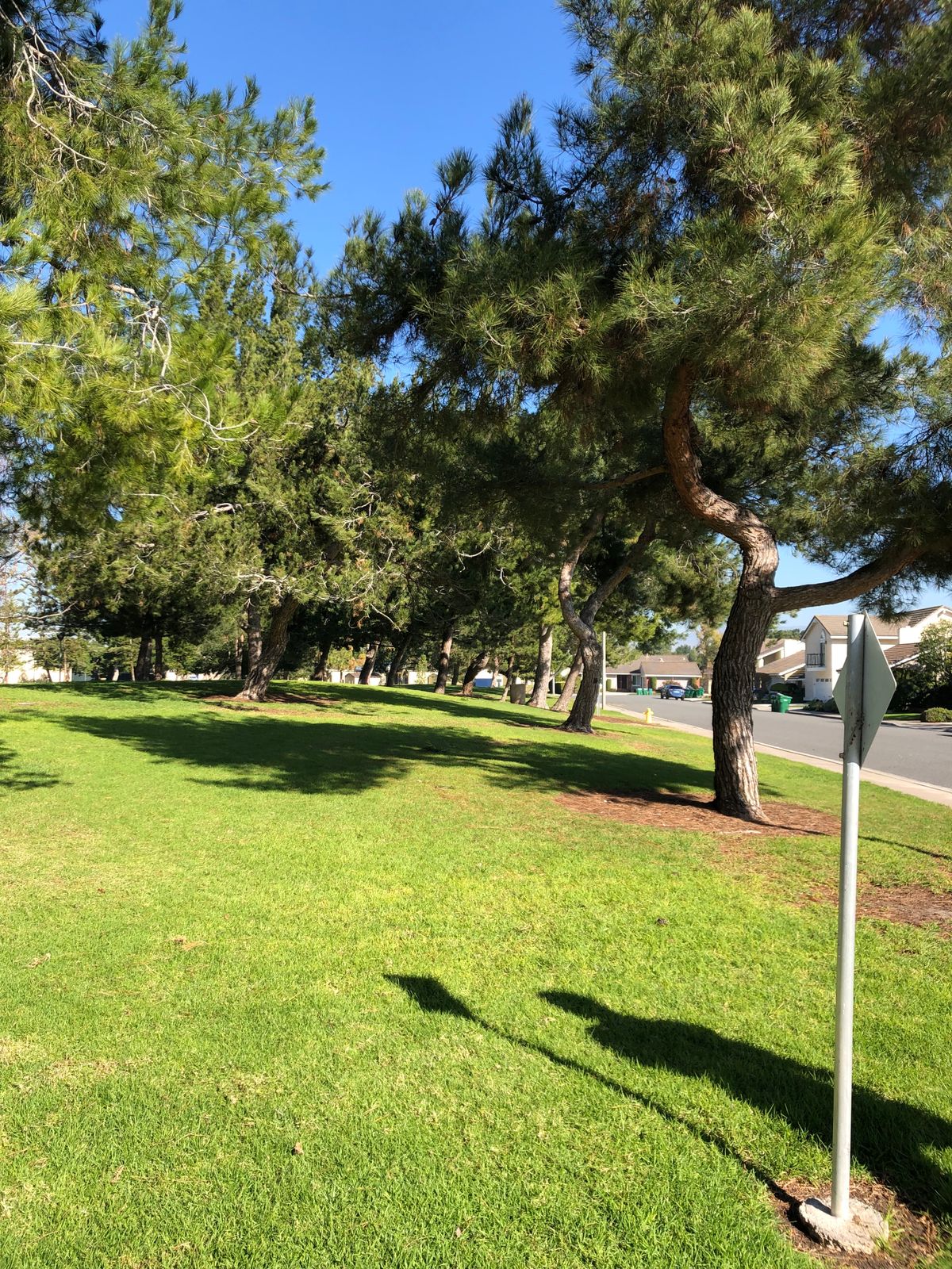 Hole 1 (Unoffical Long Tees)