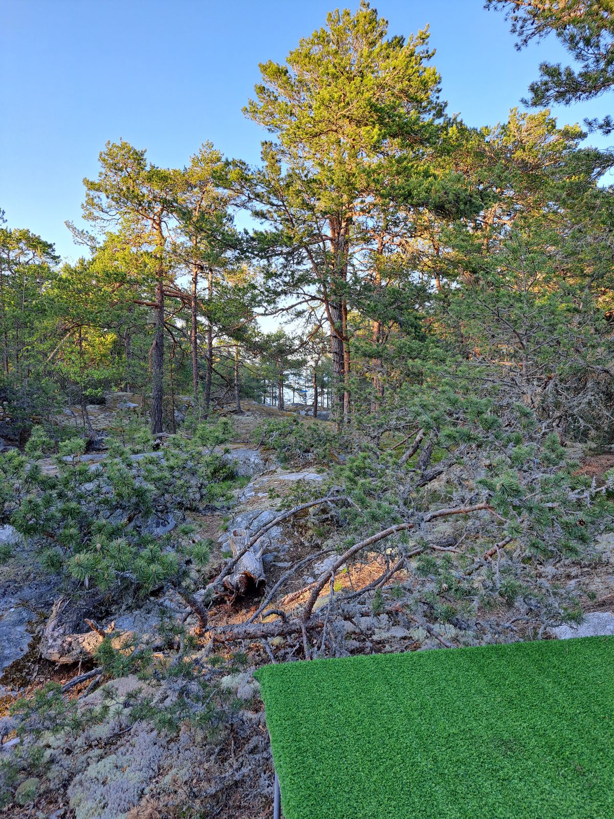 Hole 5.