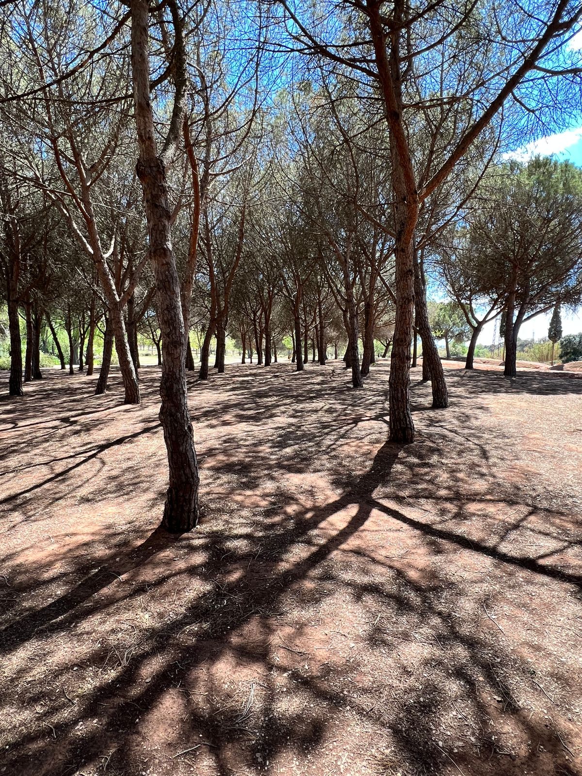 Hole 14 green