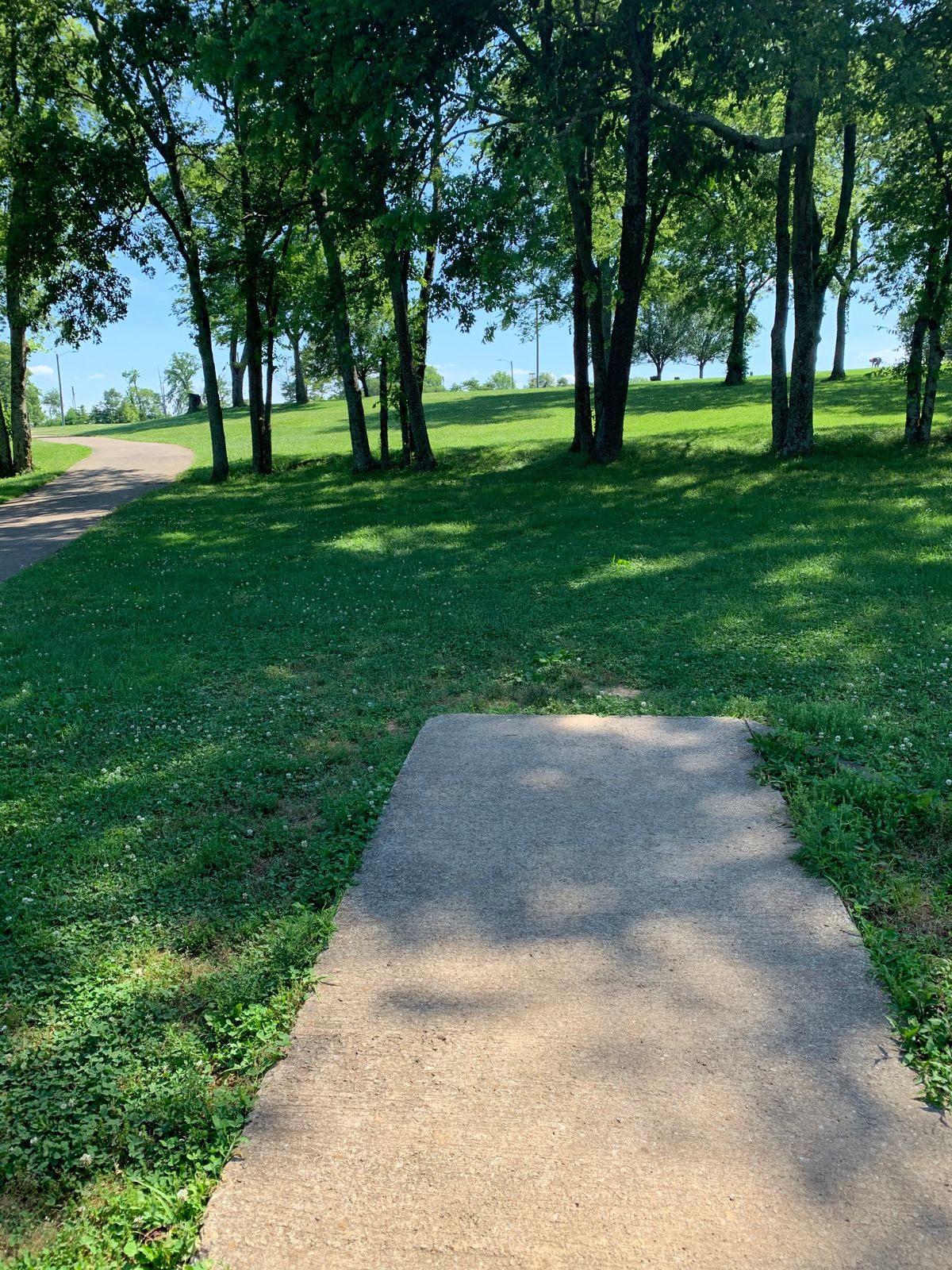 Hole 9