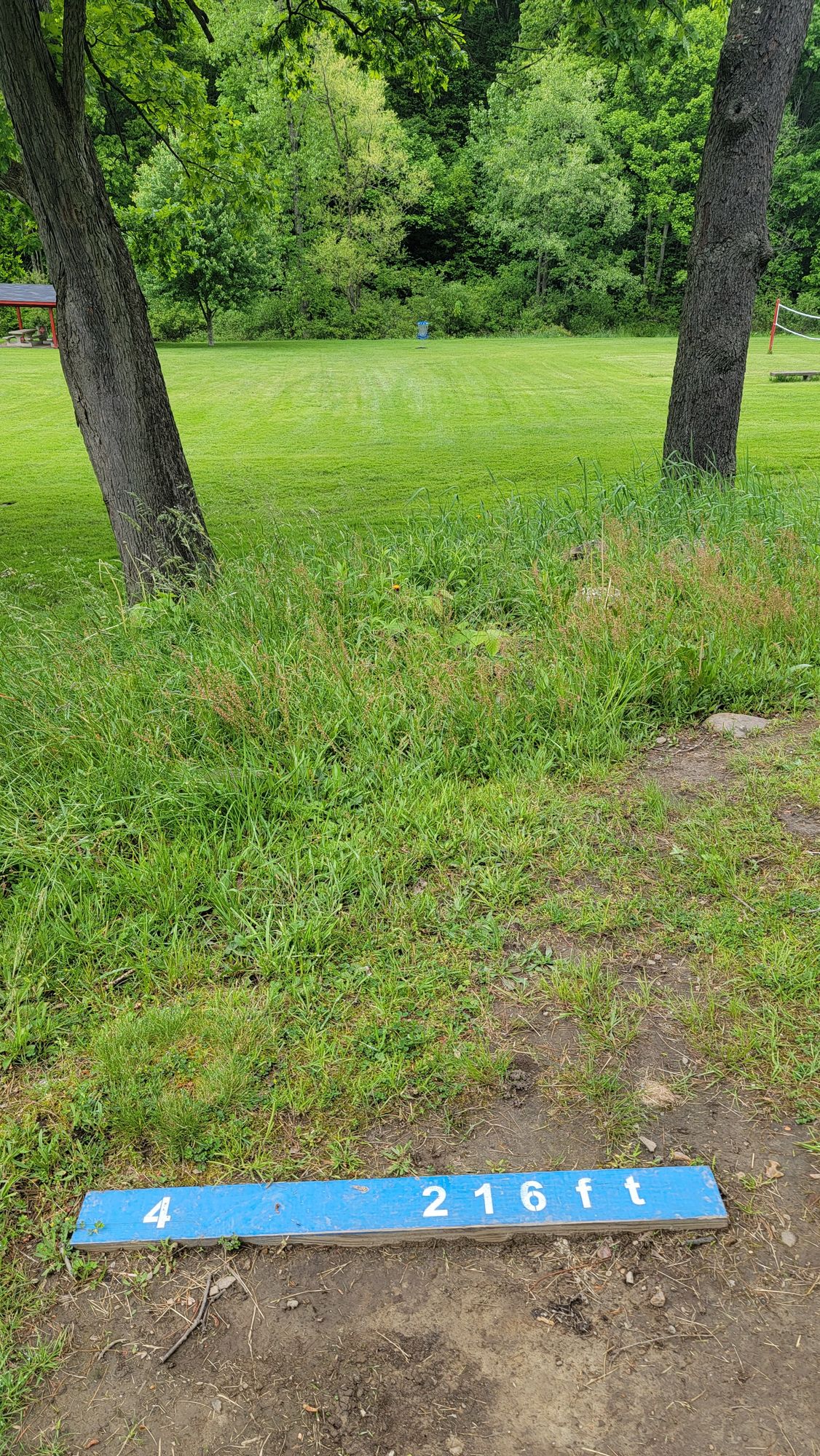 Hole 4
For an add challenge, keep it between the trees.