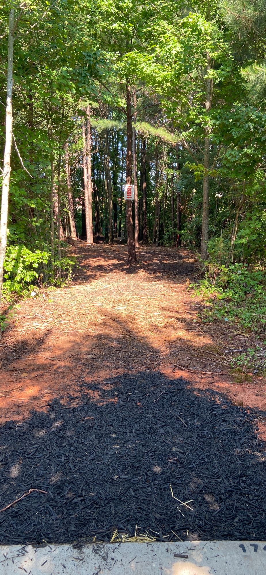 New Mando left on hole 5.