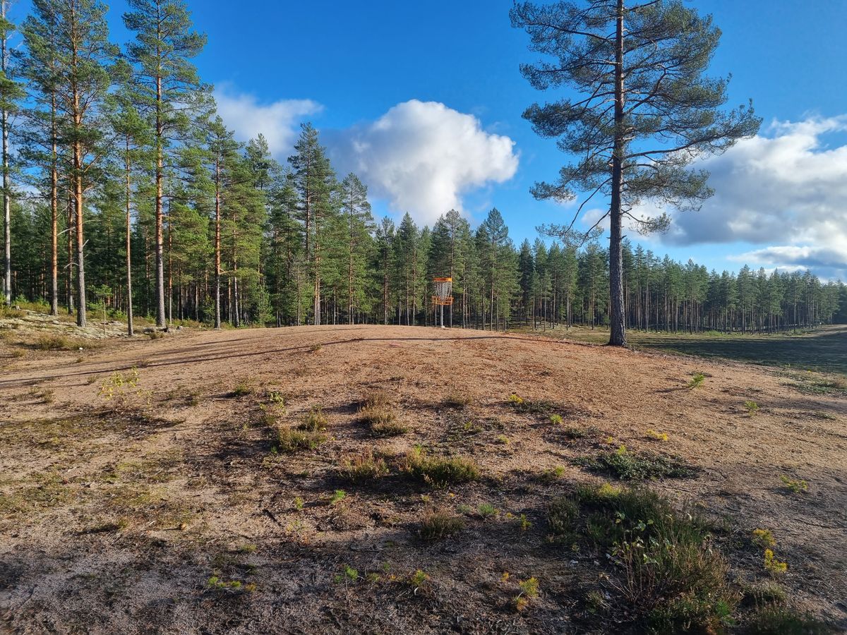Väylä 6, kori kummulla ja tuulet mukana pelissä