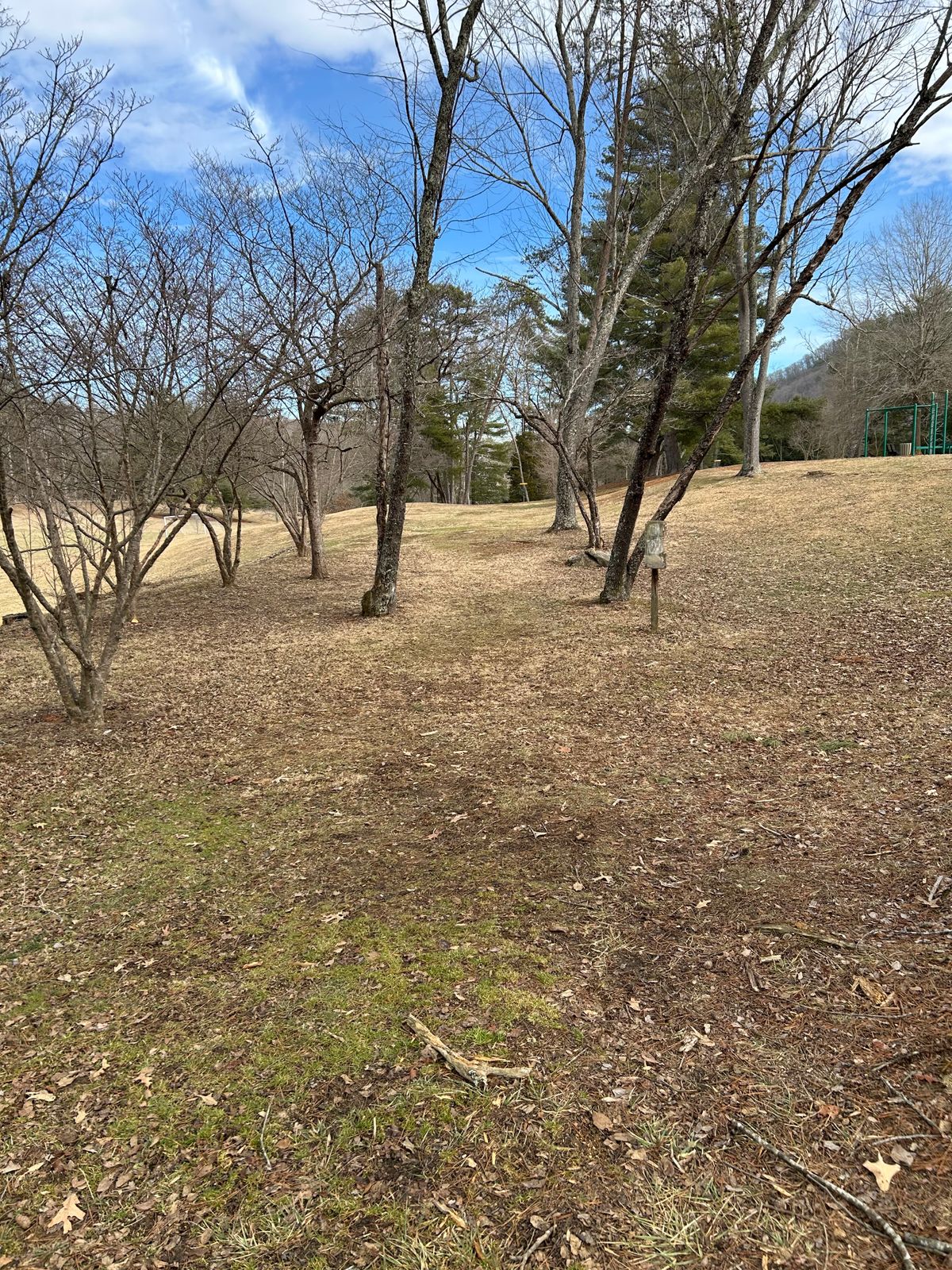 Hole 1 white tees