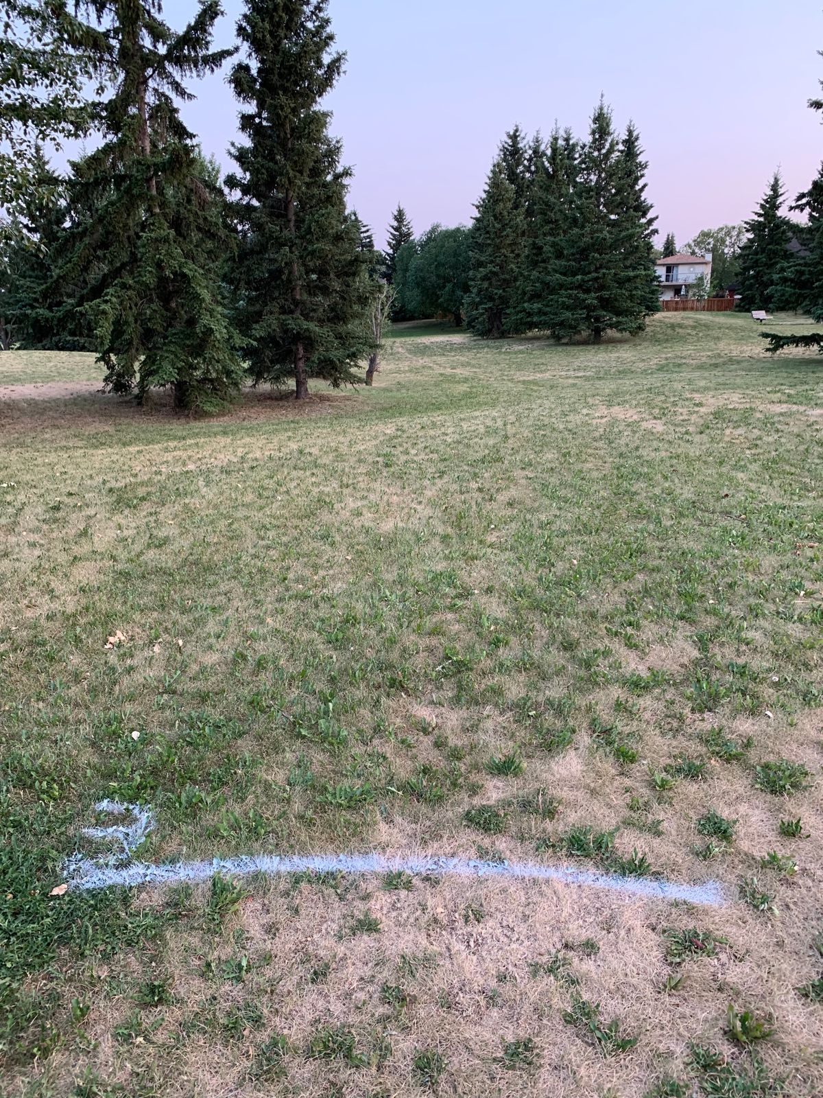 Hole 3, a nice RH forehand flex shot