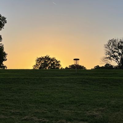 Can you spot the disc in flight? 👀