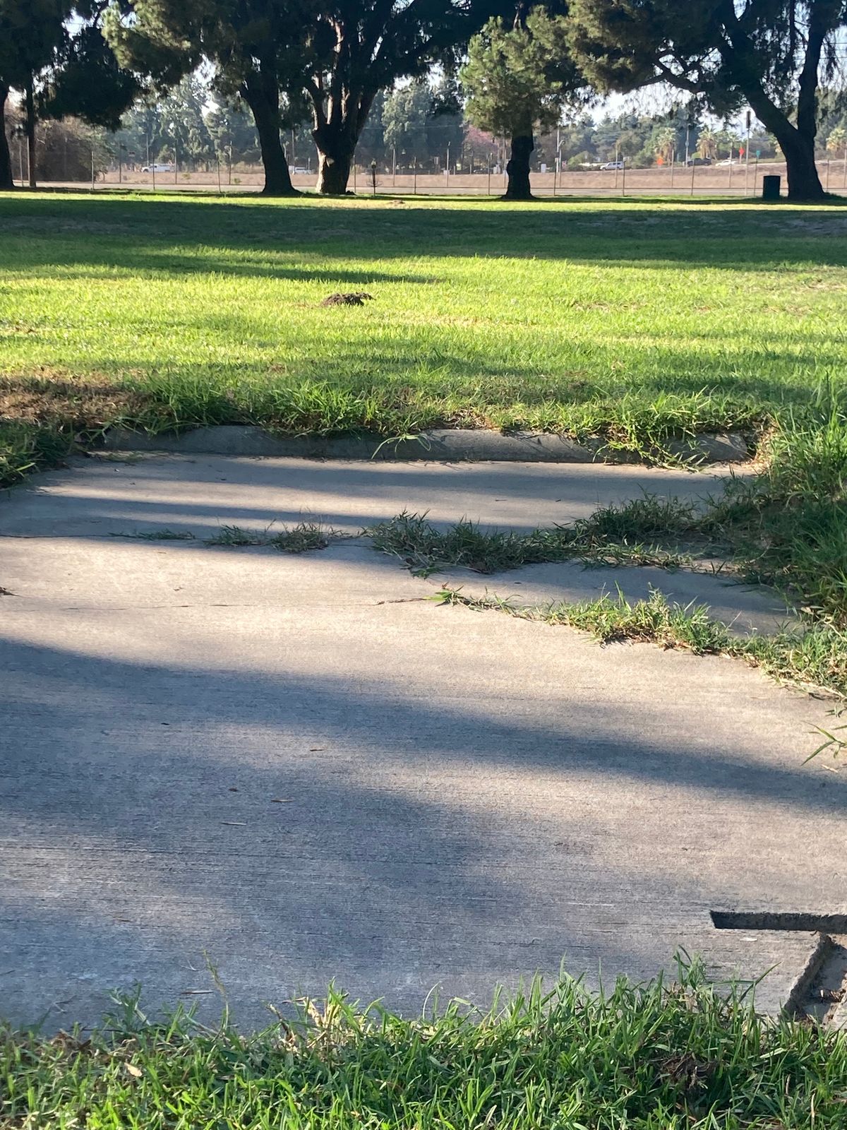 Original hole # 7. Mach lI basket