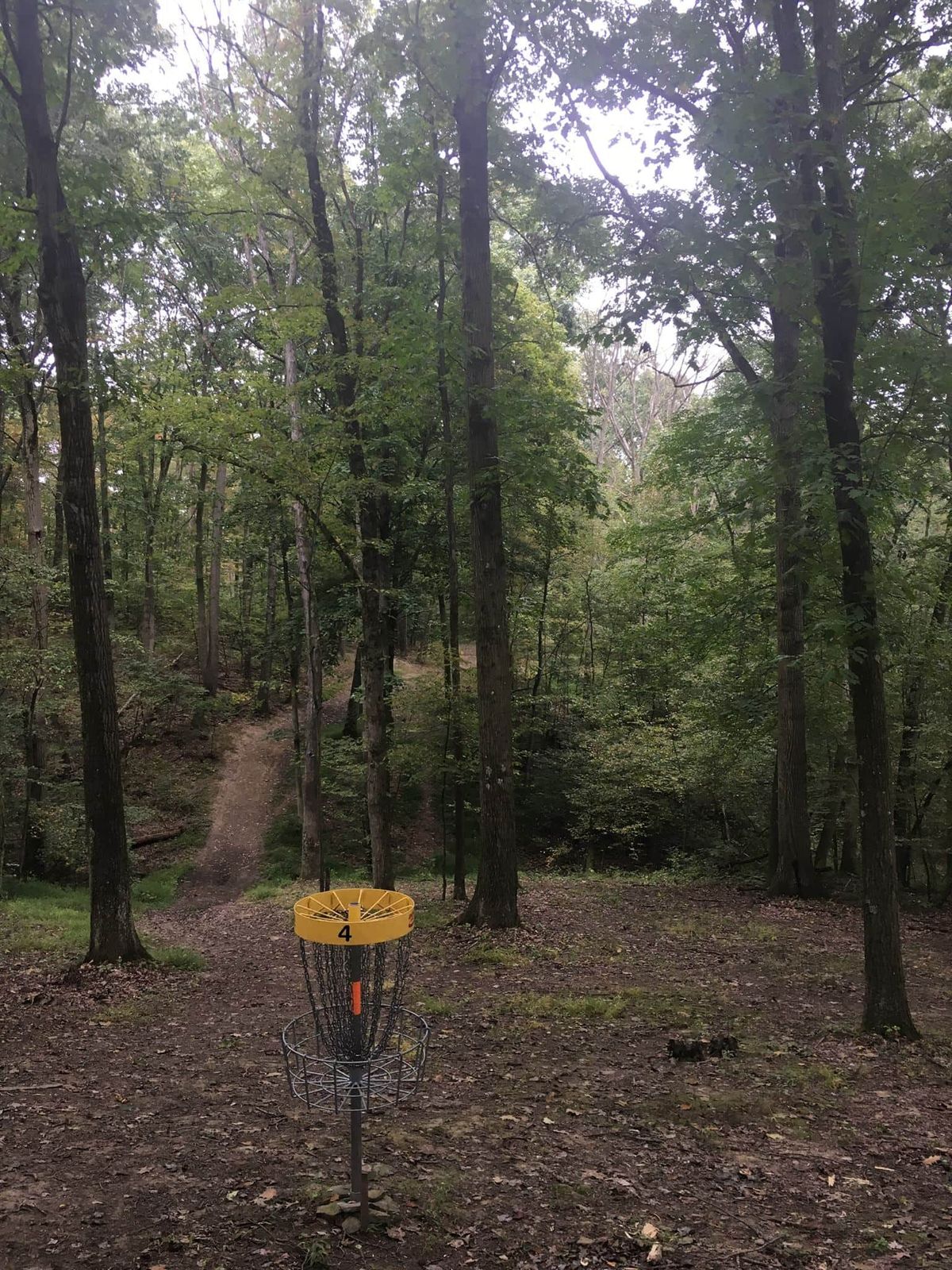 Hole 4 A pin looking back towards the tee.