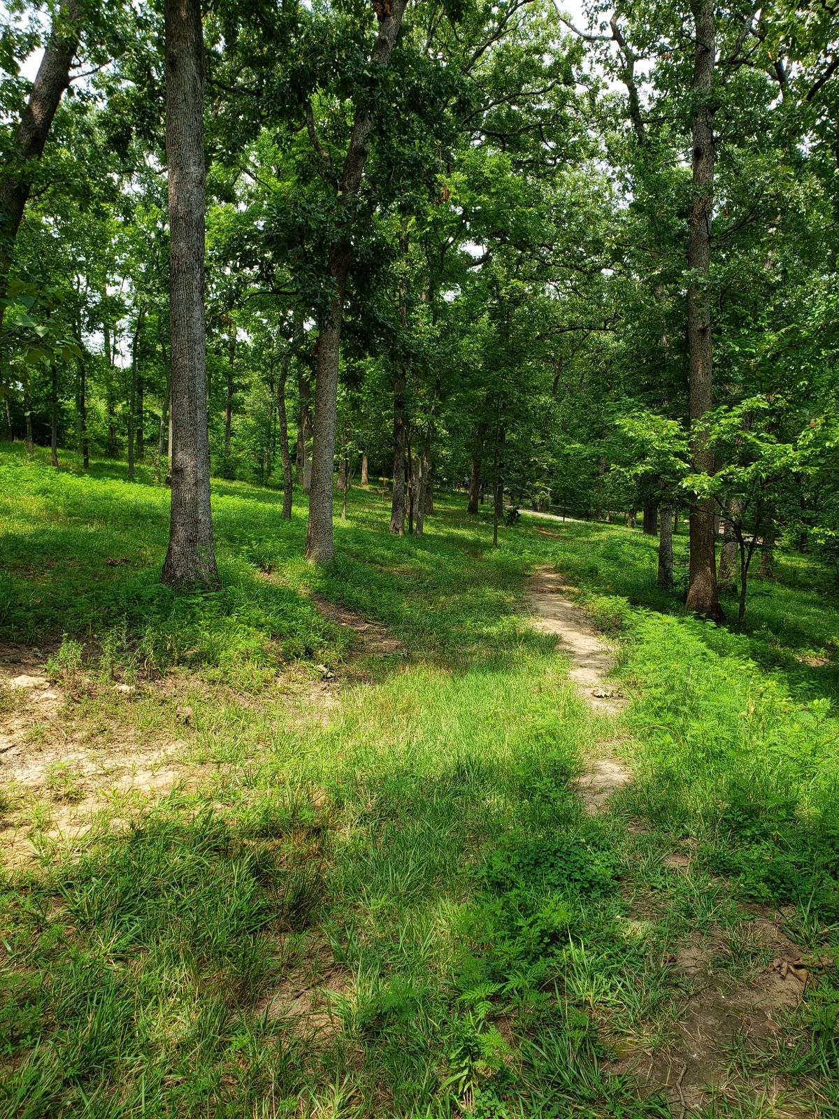#9 Fairway with Basket on left.