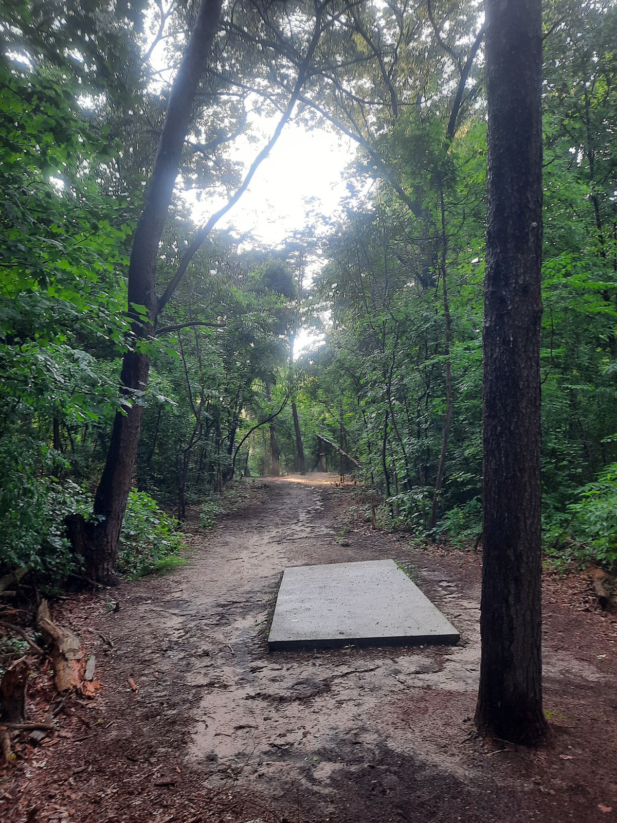 Hole 17.