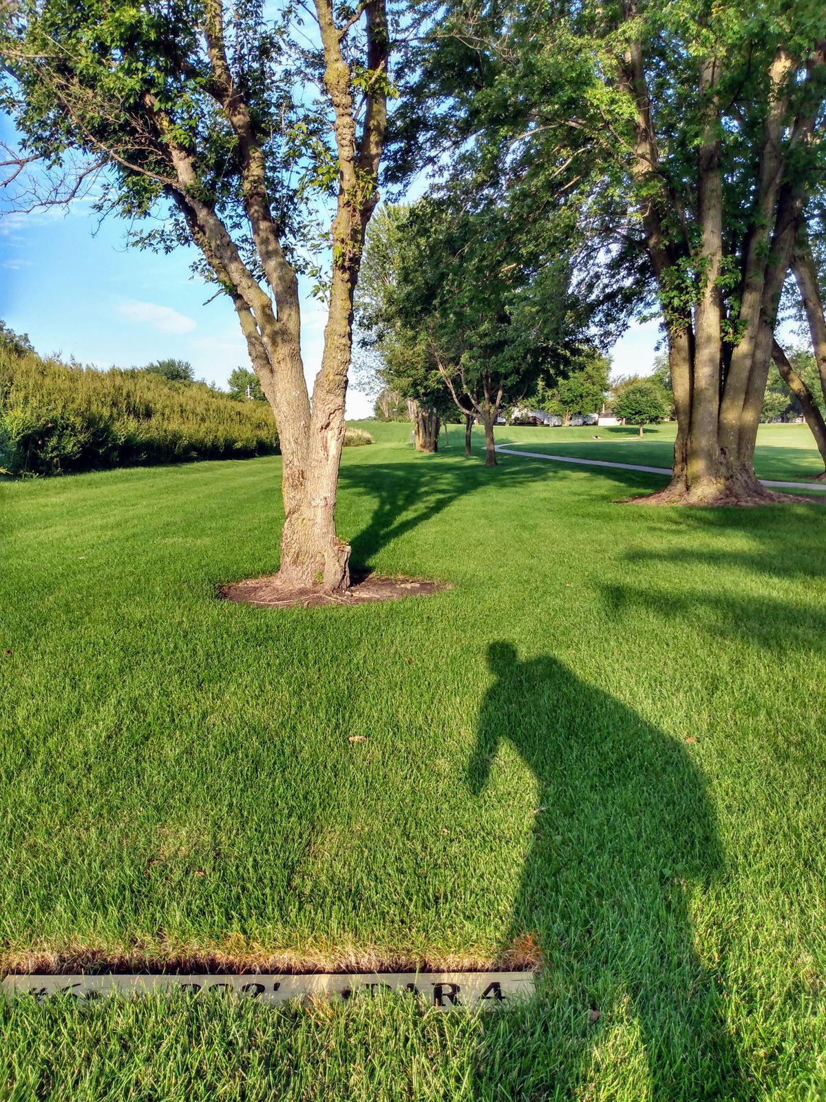 Hole 6