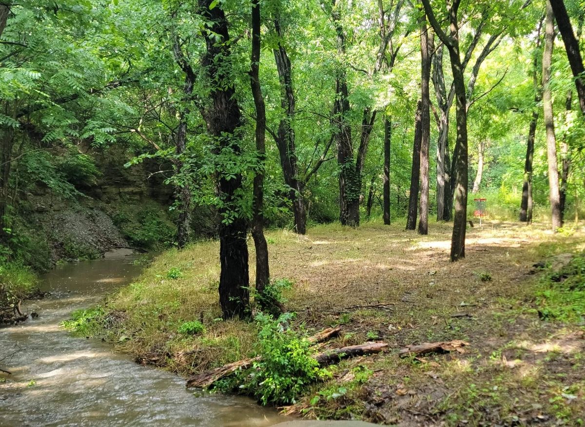 Hole 8, halfway up the fairway looking towards the basket 