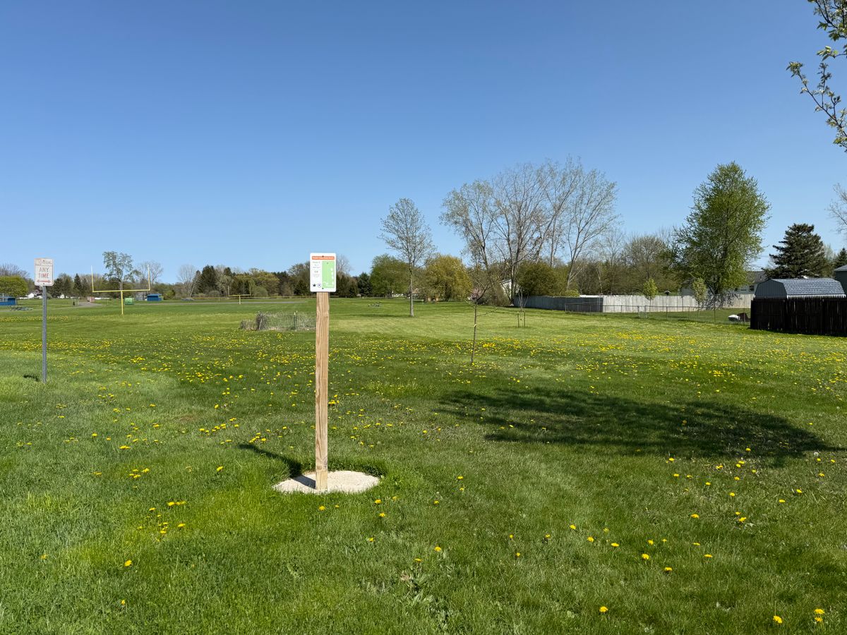 Hole 3 Tee