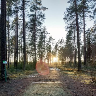 Hole 23 at sunset