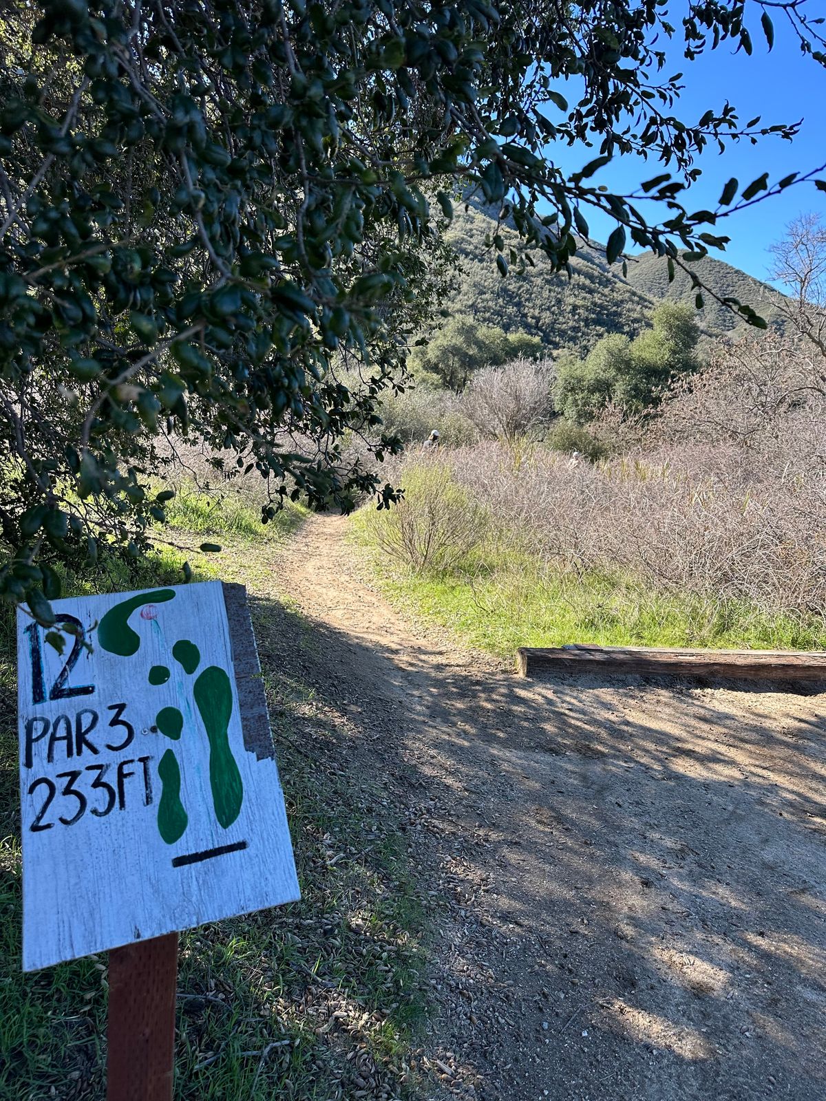 Hole 12