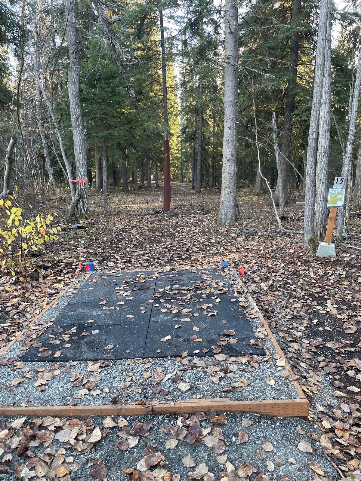 Hole 15 tee pad, Avoid the Middle Tree!