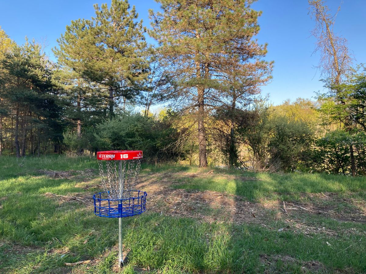16 long basket
