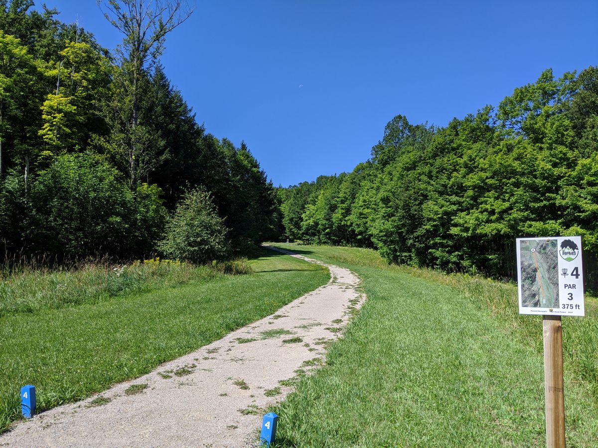 Hole 4