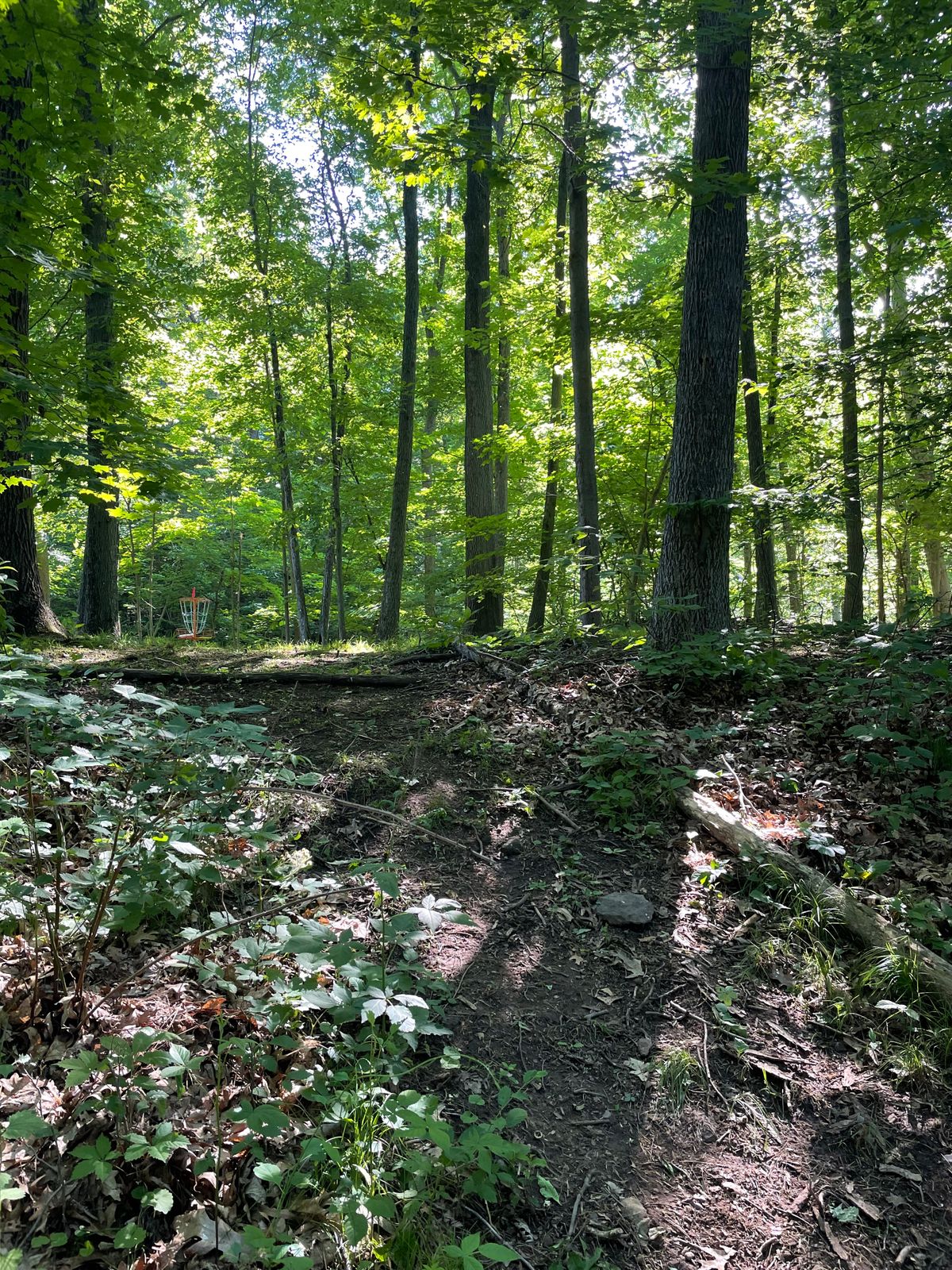 Hole 2