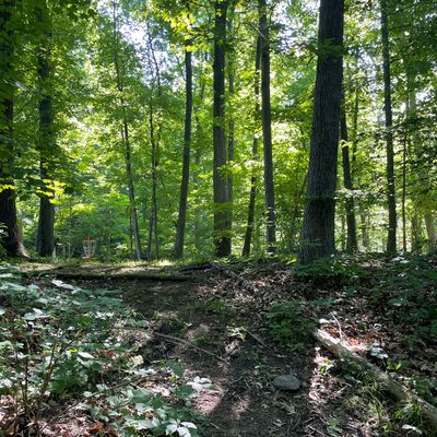 Hole 2
