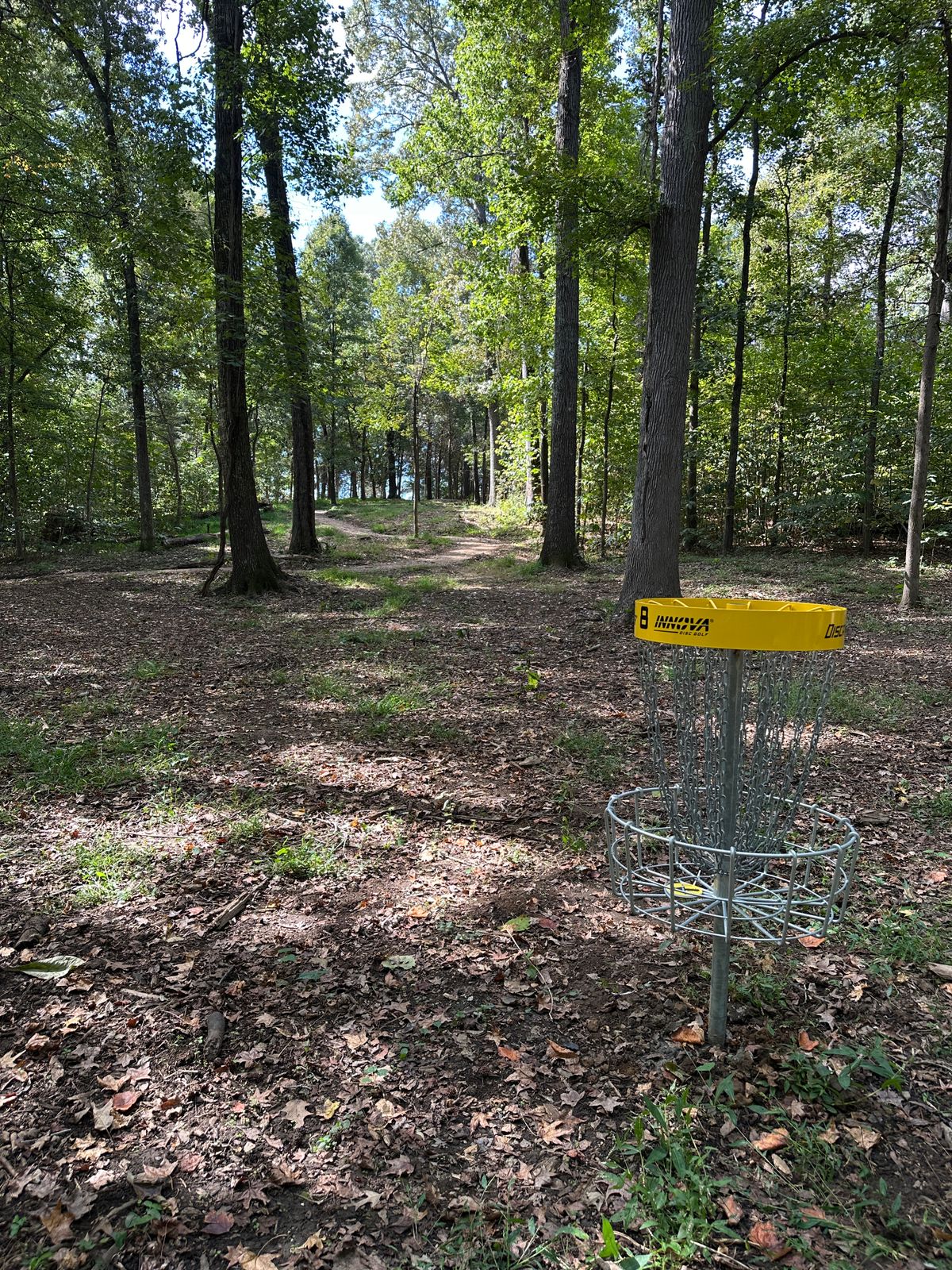 Hole 8 looking back to the tee.
