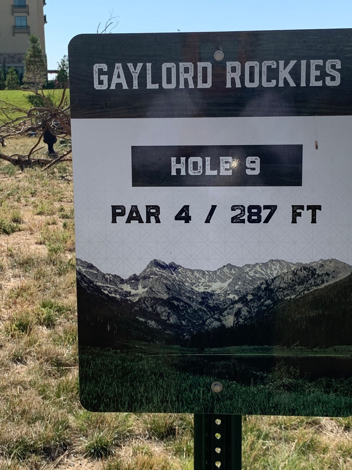 Tee off from dirt field. Basket is very close to outdoor seating; go right, not blindly over knoll.