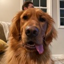 User avatar image