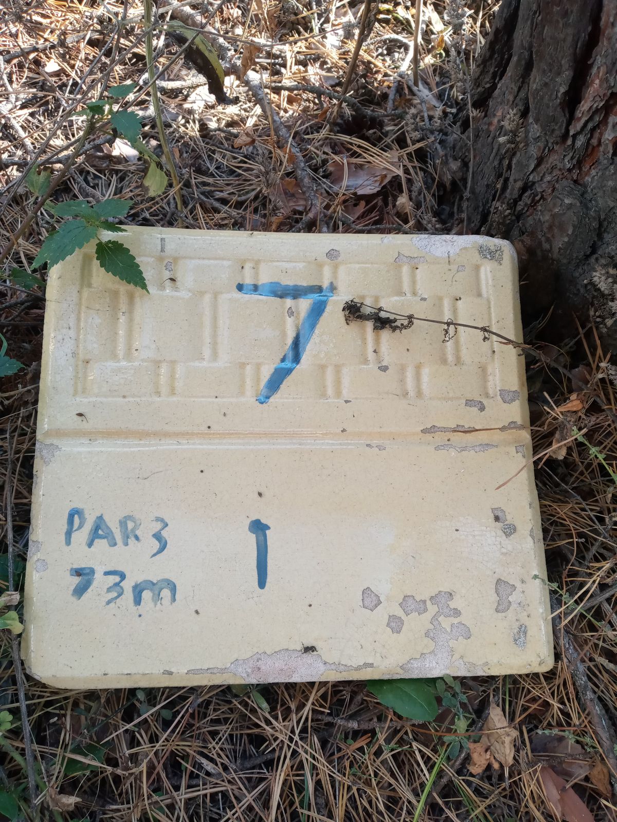 Hole 7 Tee Sign