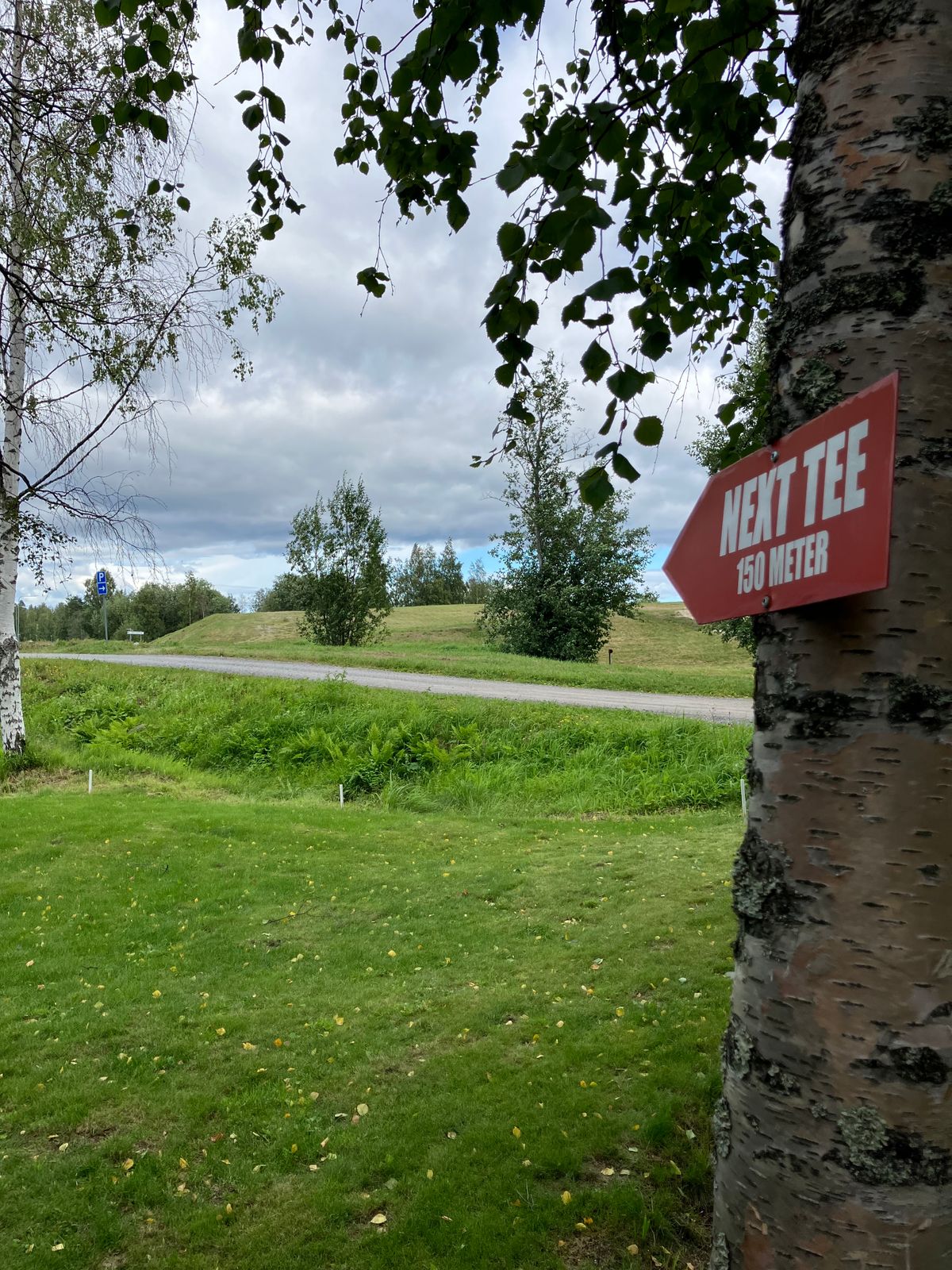 Hål 16, Next tee 150m