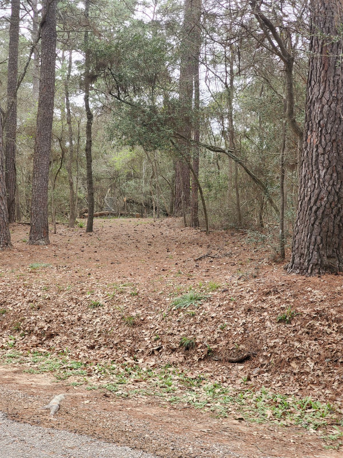 Hole 17 approach