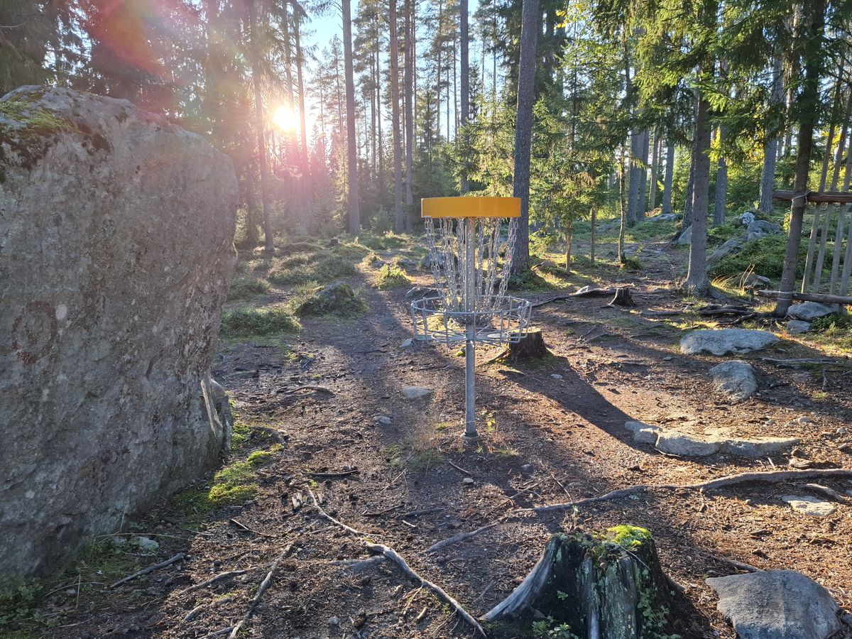 Väylän numero 4 koripaikka