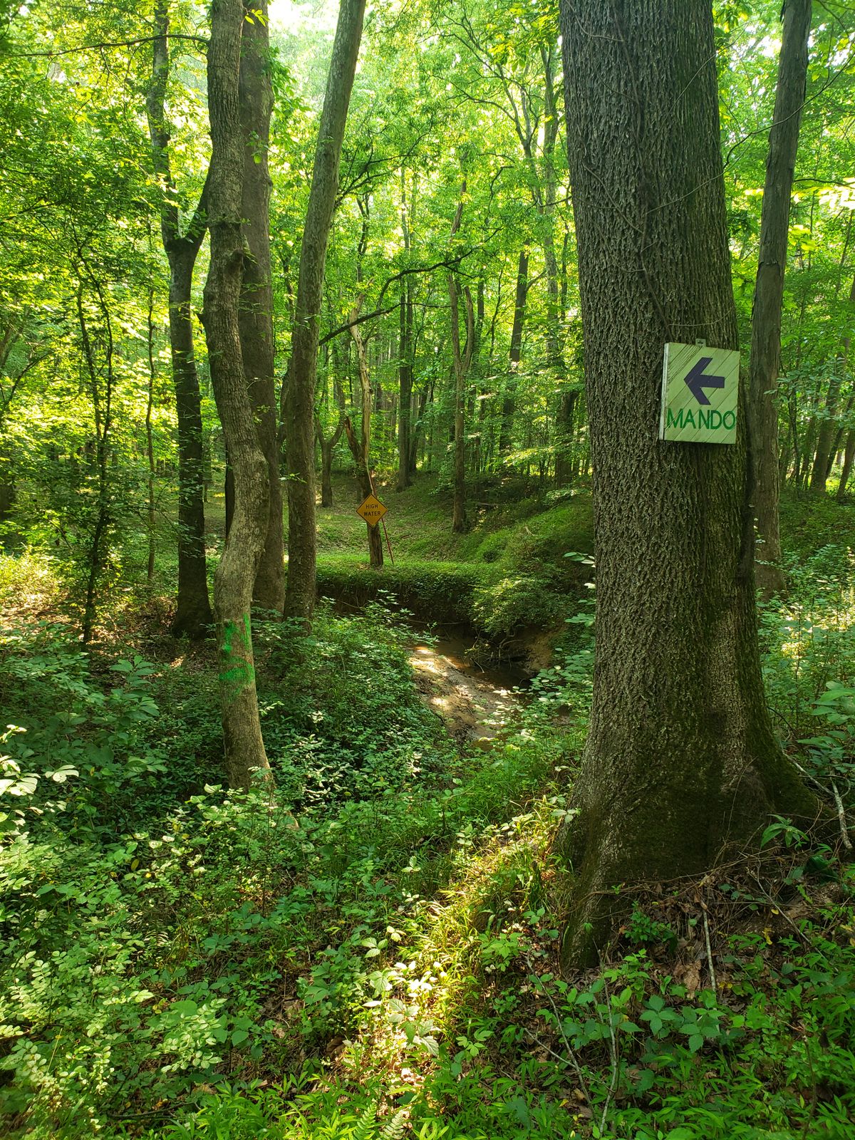 Hole 6 from tee pad. A hard dog leg left with a double mando off the tee down hill.