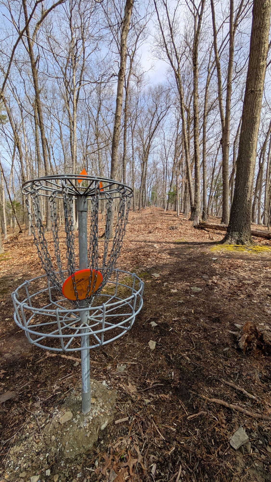 Hole 17 basket view towards tee