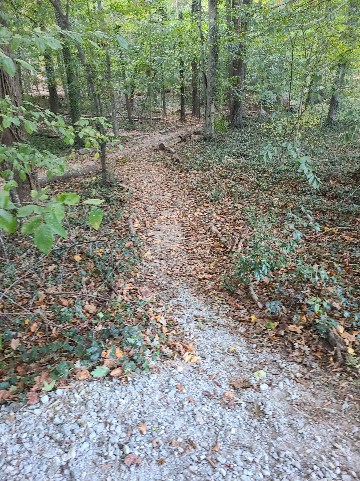 Really should have had one last directional sign for this path to the tee for 9