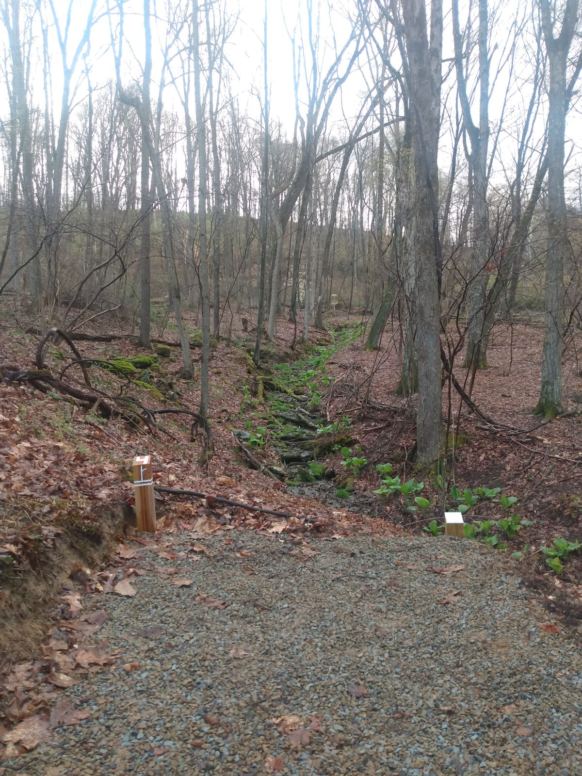 Hole 4 white tee
