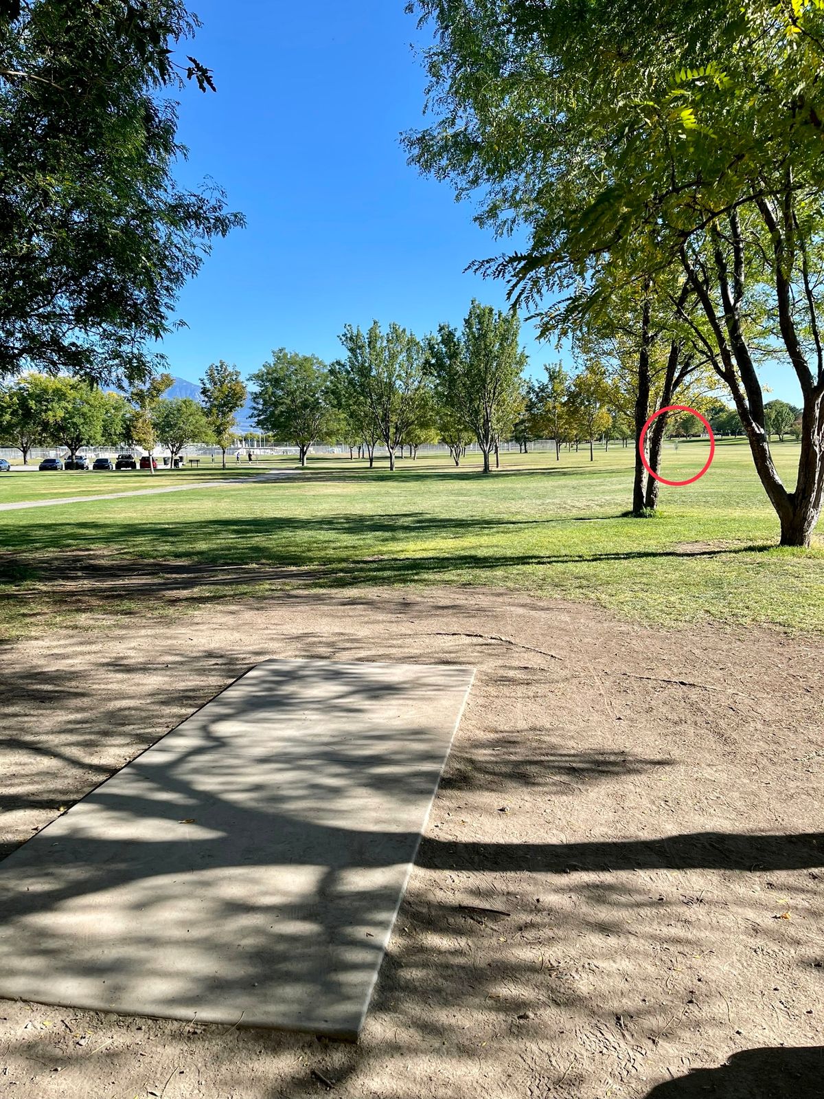 Hole 3 Long Right Basket