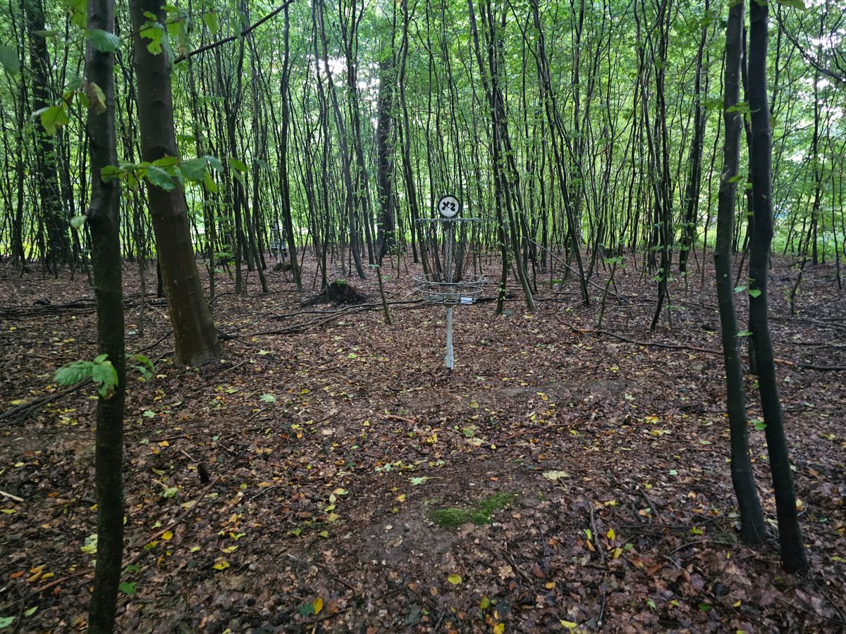 Hole 4